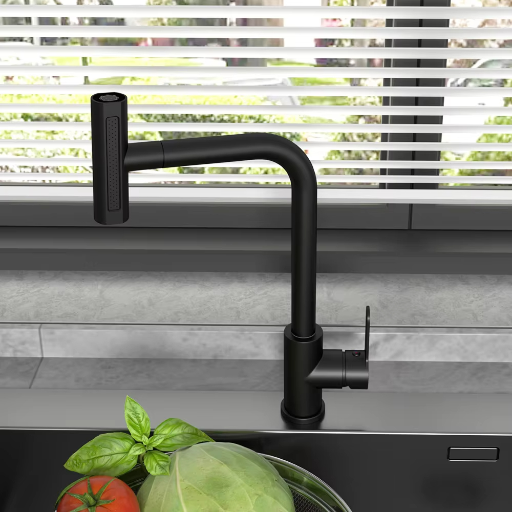 Black Pull Out Kitchen Sink Fa - Commercial Kitchen Mixer Tap ulasan dan harga