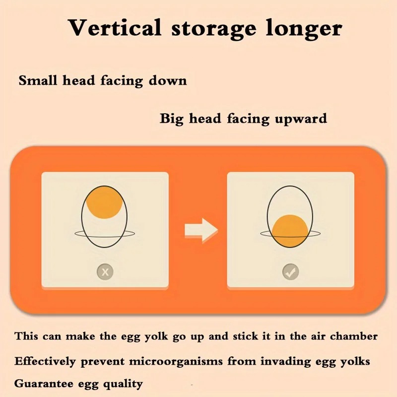 1pc Kitchen Egg Storage Box Re - Commercial Kitchen Fridge ulasan dan harga