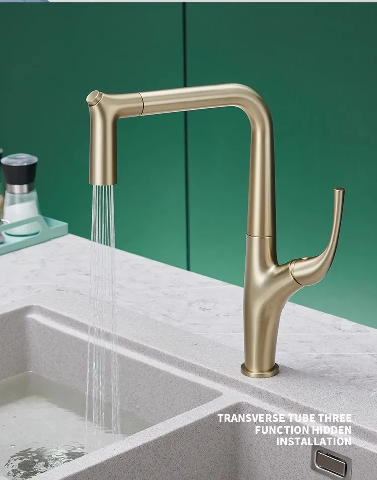 Pull Out Water Filter Tap Bras - Commercial Kitchen Mixer Tap ulasan dan harga